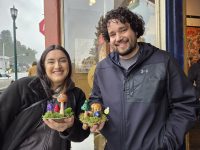 Mini Magical Mushroom Garden