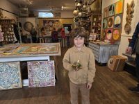 Mini Magical Mushroom Garden